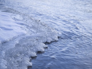 Pies na zamarzniętej rzece. Strażacy użyli drona