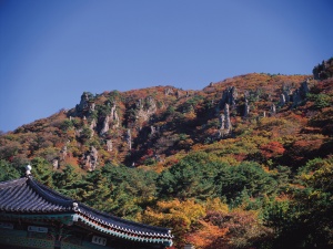 Ta wyspa przeżywa turystyczny boom. Wszystko za sprawą hitu Netflixa