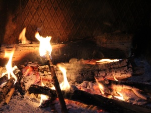 To już prawdziwa plaga. Strażacy biją na alarm