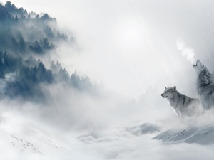 IMGW wydał komunikat. Oto co nas czeka