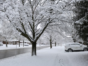 Śnieżyce i zamiecie. Nowy komunikat IMGW. Alert RCB, WOT w gotowości