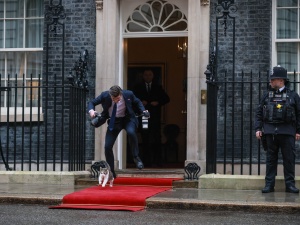 Larry, nie rób mi tego. Nieoczekiwany finał wizyty na Downing Street