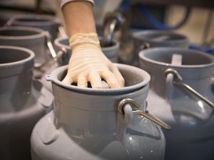 Upada mleczarnia w Myszkowie. Pracę straci 60 osób