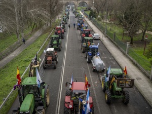 Rolnicy z całej UE jadą do Strasburga