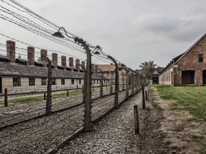 USA przeznaczą 500 tys. dolarów na wystawę w Muzeum Auschwitz-Birkenau