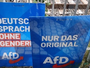 AfD rośnie w siłę. Czy uda jej się uciec z politycznej izolacji?