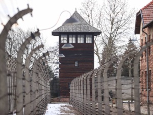 Niemieckie medium fałszuje historię. „Ofiary Auschwitz ginęły w wyniku strzelaniny”