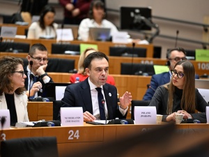 Polska przedstawiła w PE kandydaturę Warszawy na siedzibę Urzędu UE ds. Celnych