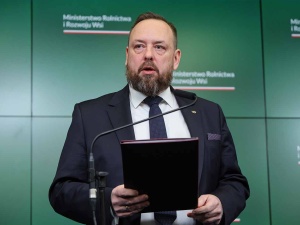 Kontrole w setkach schronisk dla zwierząt. Oto, co ustalono