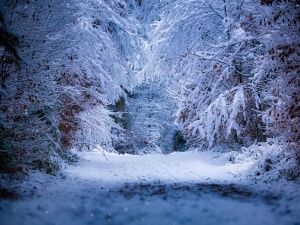 Marcin Bąk: Luty – a więc groźny!