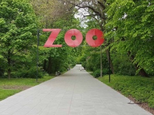 Warszawskie ZOO przekazało radosną nowinę. Pierwszy taki przypadek od 20 lat