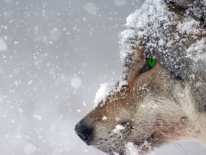 Nowy komunikat IMGW. Oto co nas czeka