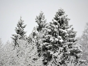 Komunikat IMGW i GDDKiA. Wydano alerty