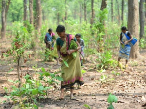 Sąd Najwyższy Indii wstrzymał przymusową ekshumację zwłok chrześcijan