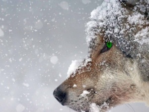 Nowy komunikat IMGW. Oto co nas czeka w najbliższych dniach