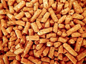 Ceny pelletu w Polsce i w Niemczech. Gdzie jest taniej?