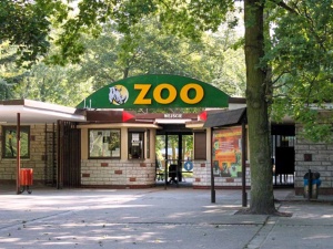 Bożenka odnaleziona. Pilny komunikat poznańskiego zoo