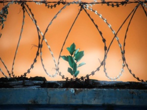 Tylko Solidarność powstrzyma dryf ku zamordyzmowi