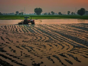 Bogdan Rzońca: W Zielony Ład wpisana jest likwidacja rolnictwa UE