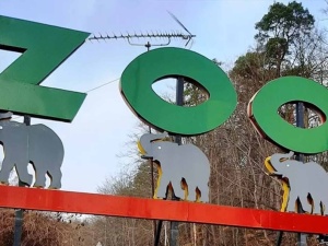 Gdańskie zoo przekazało radosną nowinę