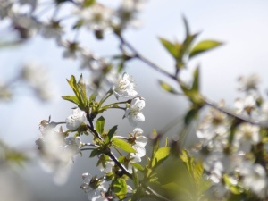 Pogoda w Wielkanoc może zaskoczyć. Najnowsza prognoza