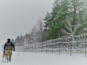 Kolejne prowokacje. Seria strzałów po białoruskiej stronie granicy