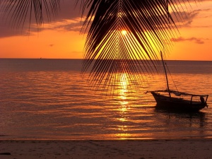 Kozidrak. Kurdej-Szatan. Racewicz. Hotelarz, który zapraszał celebrytów na Zanzibar, oszustem?