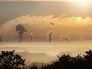Można? Można! Hiszpanie mają sposób na obniżanie poziomu CO2 w powietrzu. Naturalny, nieuderzający w gospodarkę