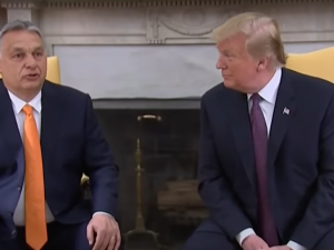 Donald Trump poparł Victora Orbána przed wyborami na Węgrzech