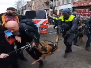 Brutalność policji w Holandii. Internauci piszą o problemie z praworządnością [VIDEO]