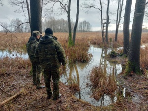 Imigranci na granicy polsko-białoruskiej nie odpuszczają. Mimo, że natura jest przeciwko nim