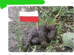 „Polnische schweine”. Wrzucał grafiki przedstawiające JPII podcierającego się polską flagą. Będzie miał kłopoty