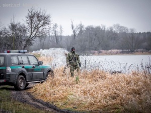 Wraca spokój na granicę polsko-białoruską? Tylko 8 osób próbowało nielegalnie dostać  do nas w ciągu ostatniej doby