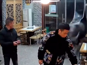 Prawy Sierpowy: [Video-Viral]  Niespodziewany atak byka, brutalne!