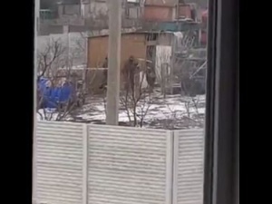 [wideo] Tak wygląda armia „mocarstwa”. Głodni rosyjscy żołnierze kradną kury z ukraińskiego gospodarstwa