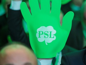 „PSL to najbardziej prorosyjska partia w parlamencie. Przewodniczący Rady Naczelnej to Schroeder polskiej polityki”