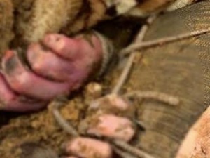 „Na koniec każdemu z nich strzelono w ucho”. Szokujące odkrycie pod Kijowem