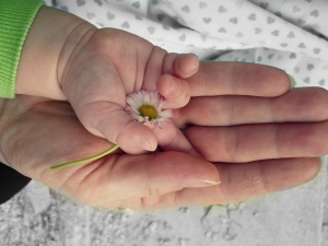 Sto europejskich organizacji pro-life w Brukseli. Dziękowano Polakom za to, że są „duszą i sumieniem Europy”