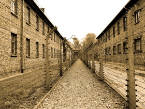 Sprawa rzekomych „naklejek z Cyklonem B dla Rosjan” w Auschwitz. Jest reakcja Muzeum [FOTO]