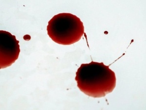 Horror w Niemczech. Położył odciętą głowę przed wejściem do sądu i spokojnie usiadł obok
