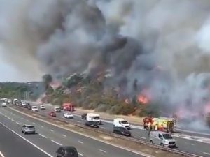 [video] Sytuacja jest krytyczna. Liczne pożary na obrzeżach Londynu