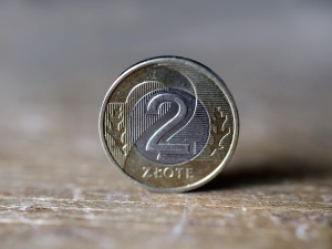 Złoty stabilny wobec głównych walut