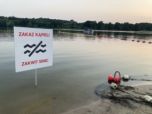 Nieprzyjemny zapach, zielona woda i piana na powierzchni. Sinice atakują polskie kąpieliska [MAPA]
