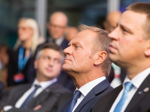  Profesor: Panie Tusk, czy mógłby Pan zaapelować, żeby ograniczyli się do wyzywania od pisowskich k.rew, bo plucie to już przesada
