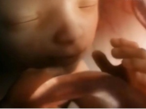 Pierwsza taka decyzja od wyroku Sądu Najwyższego. W stanie Indiana uchwalono ustawę zakazującą aborcji