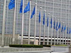 Ponad 100 ton śniętych ryb w Odrze. Komisja Europejska zabiera głos