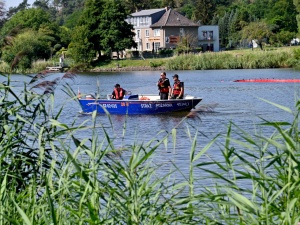 Niemcy: Nowe informacje ws. katastrofy ekologicznej Odry. Są kolejne wyniki badań