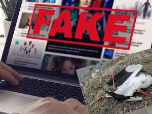 Robimy dym! Burza na Facebooku z powodu martwego bociana znad Odry. Tyle, że fotografia jest z 2013 roku