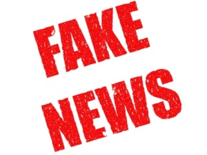 „Zdjęcie krąży po necie od lat”. Lasy Państwowe obnażają fake newsa „pseudoekologów”