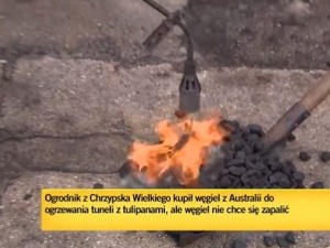 [wideo] Kompromitacja TVN. Próbowali rozpalać węgiel z Australii, przypiekając go… palnikiem gazowym